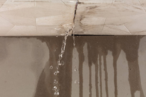 Professional Water Damage Repair technician working in Rocky Mount, NC